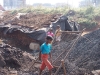 Brickyard Children of AVANI.jpg
